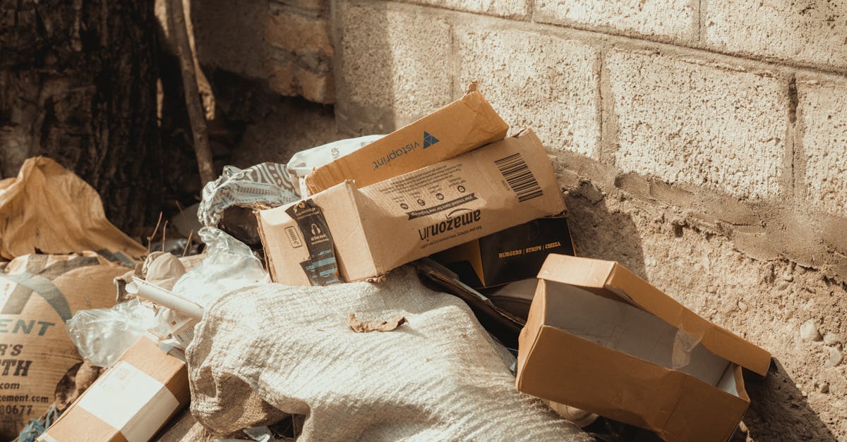 Discarded cardboard boxes and garbage next to a concrete wall and tree.